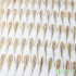 Translucent Tulle Mesh Fabric Feathers Appliqued For Evening Dresses Wedding Party Dance
